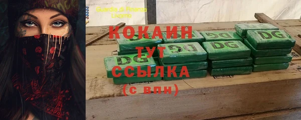 спайс Бородино