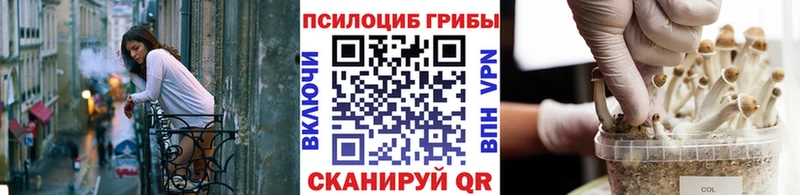 Псилоцибиновые грибы ЛСД  Омутнинск 